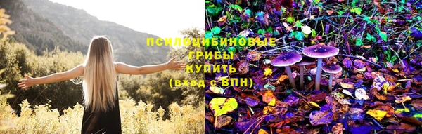 дурь Алзамай
