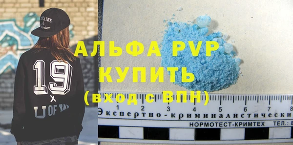 стаф Алексин