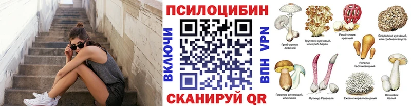 мега зеркало  Тара  Псилоцибиновые грибы мицелий 