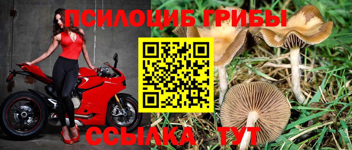 Галлюциногенные грибы GOLDEN TEACHER Тара