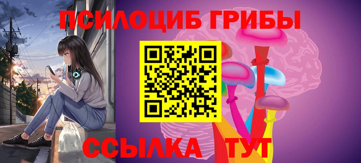 Тара  Галлюциногенные грибы ЛСД  Вход с VPN 